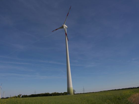 Windräder auf einer grünen Fläche
